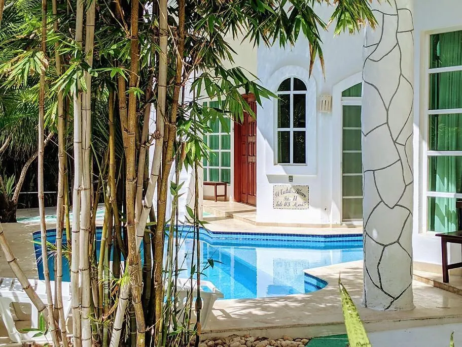 18Br Up To 50Guest Castillos Playacar Walk To Beach And 5Th Ave 1000Mbps Playa del Carmen 0*,