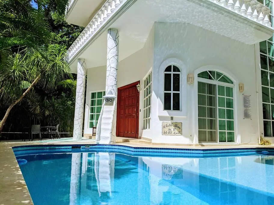 18Br Up To 50Guest Castillos Playacar Walk To Beach And 5Th Ave 1000Mbps Playa del Carmen Mexiko