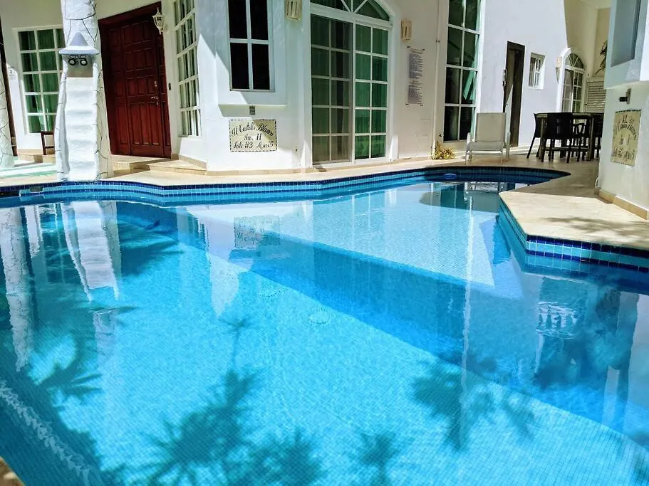 Prázdninový dům 18Br Up To 50Guest Castillos Playacar Walk To Beach And 5Th Ave 1000Mbps Playa del Carmen Mexiko